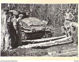 BOUGAINVILLE. 1945-05-22. TANK CREWS OF B SQUADRON, 2/4 ARMOURED REGIMENT, LAYING CORDUROY BEHIND A BOGGED TANK, IN AN ATTEMPT TO EXTRACT IT AFTER IT HAD BOGGED DOWN, WHILE MAKING A DETOUR AROUND A ..