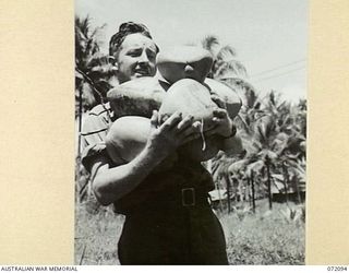 MILNE BAY, NEW GUINEA. 1944-04-06. N84439 SAPPER M.T. COUGRAN, 53RD DEPUTY COMMANDER, ROYAL AUSTRALIAN ENGINEERS, CARRYING GREEN COCONUTS. THE MILK FROM THE COCONUTS IS A FAVOURITE BEVERAGE WITH ..