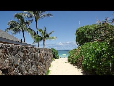 The Right of Access | Insights on PBS Hawai'i