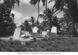 Bikinian cemetery, Bikini Island, summer 1949