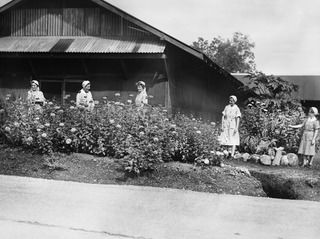 EGGY'S CORNER, PORT MORESBY AREA, PAPUA, 1944-02-16. STAFF OF THE OFFICERS' WARD OF THE 2/1ST GENERAL HOSPITAL SITUATED AT EGGY'S CORNER, IN THEIR GARDEN. PRACTICALLY EVERY WARD AT THE HOSPITAL HAS ..