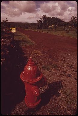 DEVELOPERS SIGN, EVIDENCE OF LAND SPECULATION IN PUNA AREA NEAR KALAPANA. VOLCANIC SOIL AND ARID CONDITIONS INHABIT AGRICULTURE, MAKING LAND SPECULATION POPULAR IN THIS AREA. LAND USE LAWS ENACTED IN 1961 ARE A RESTRICTING FACTOR