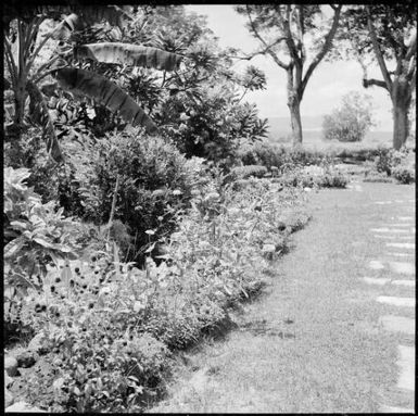 View towards the harbour from the Chinnery's garden with a clamshell birdbath, Malaguna Road, Rabaul, New Guinea, ca. 1936 / Sarah Chinnery