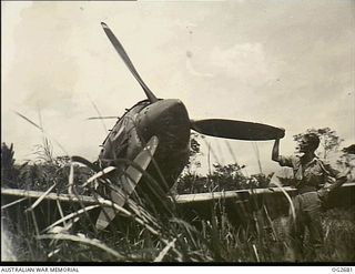 BUT AREA, DAGUA, NORTH EAST NEW GUINEA. C. 1945-04. A JAPANESE AIRCRAFT, KAWASAKI KI-61, ARMY TYPE 3 FIGHTER HIEN, ALLIED CODE NAME TONY, POKING ITS NOSE ABOVE THE KUNAI GRASS ON DAGUA
