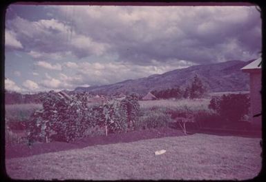 From our back garden looking towards the Malaria Control School (opened 1954) : Minj Station, Wahgi Valley, Papua New Guinea, 1954 / Terence and Margaret Spencer