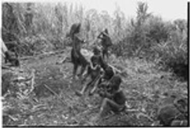 Pig festival, pig sacrifice, Tsembaga: women and children next to an oven pit in ancestral shrine