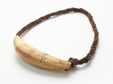 Tabua (Ceremonial whale tooth)