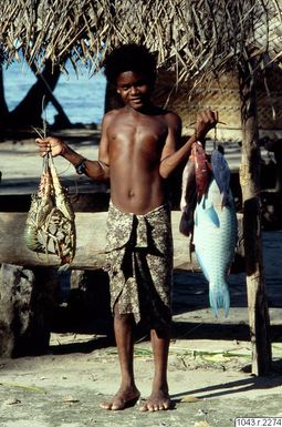 ["fotografi, photograph"]