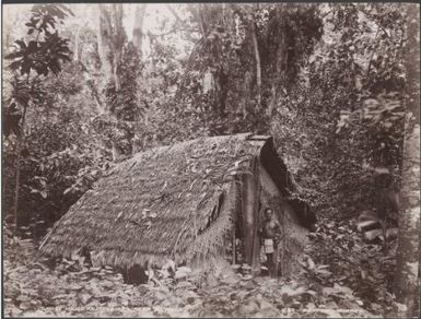 A man standing at the entrance of a ghost house at Matema, Reef Islands, 1906 / J.W. Beattie