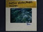 Aerial view of coffee plots, Wahgi Valley