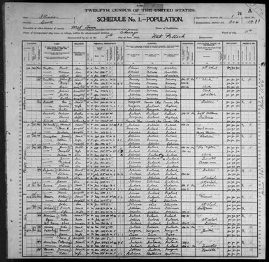 Illinois: COOK County, Enumeration District 304, Sheet No. 11A