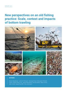 New Perspectives on an Old Fishing Practice: Scale, Context and Impacts of Bottom Trawling