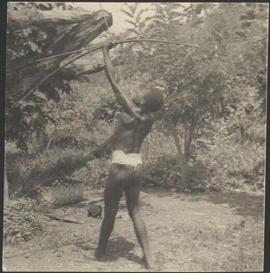 Manau, the Chinnery's house boy, firing a bow and arrow, Rabaul, New Guinea, ca. 1936, 1 / Sarah Chinnery