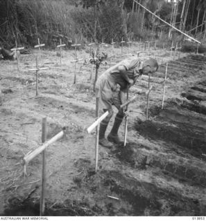 1942-12-16. GONA, PAPUA. CHURCH OF ENGLAND PADRE A.E. BEGBIE IN A SMALL BURIAL GROUND IN A CLEARING PUSHING A CROSS INTO THE GROUND AT THE HEAD OF ONE OF THE GRAVES OF SOLDIERS, MANY FROM 55/53RD ..