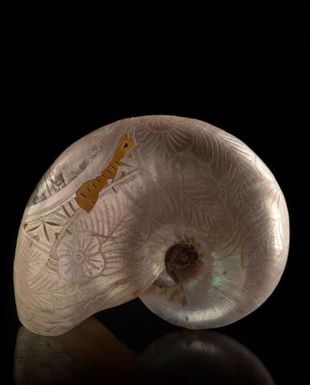 Carved Nautilus Shell
