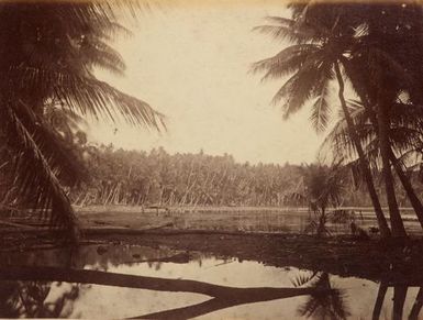 Pleasant Island. From the album: Views in the Pacific Islands