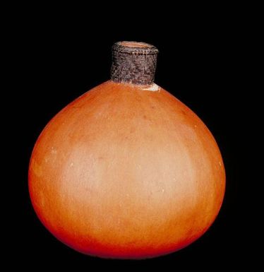 Gourd
