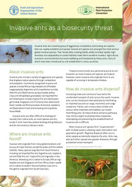 Invasive ants as a biosecurity threat.