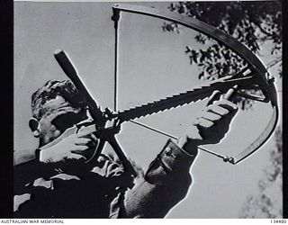 NEW GUINEA. 1943-02. SERGEANT J. W. WRIGHT, ONE OF ITS TWO DESIGNERS, DEMONSTRATING THE ARROWSPEED CROSS BOW GUN DESIGNED TO FIRE INCENDIARY, HIGH EXPLOSIVE AND OTHER TYPES OF ARROWS. (DONOR: L. J. ..