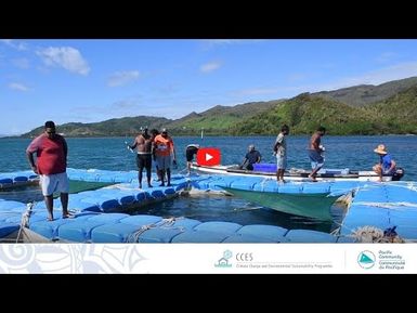 Les enjeux de l'aquaculture aux Îles Loyautés (Nouvelle-Calédonie)