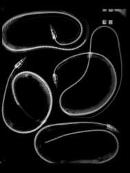 [untitled]
