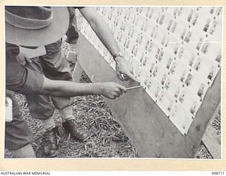 MISSION POINT, NEW GUINEA. 1945-11-09. IDENTIFICATION PHOTOGRAPHS USED BY MEMBERS OF THE WAR CRIMES COMMISSION TO IDENTIFY SUSPECTED JAPANESE WAR CRIMINALS