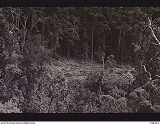 BULLDOG-WAU ROAD, NEW GUINEA, 1943-07-16. DISTANT VIEW OF THE ROAD TO BANNON'S LOOKOUT, WHICH CAN BE SEEN AS AN "S" SHAPED LINE IN THE CENTRE OF THE PHOTOGRAPH