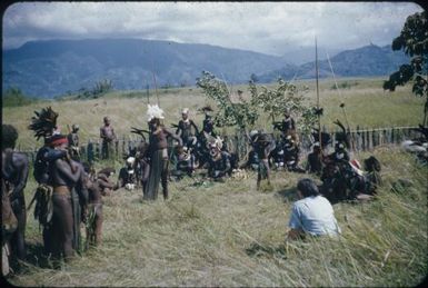 Luluai Wamdi receiving gift of pig : Wahgi Valley, Papua New Guinea, 1955 / Terence and Margaret Spencer