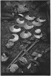 Ritual exchange, Tsembaga: shells, shell valuables, steel axes, woven armbands