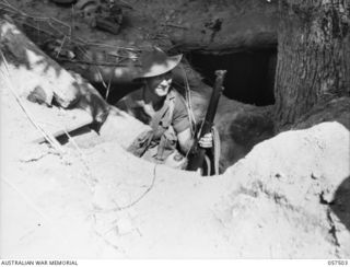 KAIAPIT, NEW GUINEA, 1943-09-22. VX67599 SERGEANT A.L. MILLER OF THE 2/6TH AUSTRALIAN INDEPENDENT COMPANY, IN A JAPANESE BUNKER. HE CLEARED THESE BUNKERS WITH GRENADES, KILLING AT LEAST 3 JAPANESE ..