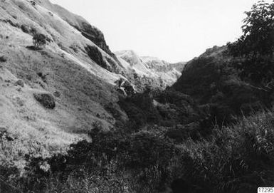 Daleks, Landscape, and others, Photography