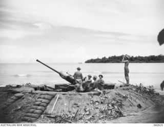 GODOWA, NEW GUINEA. 1943-11-05. TROOPS OF C TROOP, 2/3RD AUSTRALIAN LIGHT ANTI-AIRCRAFT BATTERY MANNING A 40MM BOFORS GUN AT ONE OF THEIR BEACH POSTS. SHOWN ARE: NX1215 GUNNER R.B. JONES OF SYDNEY, ..