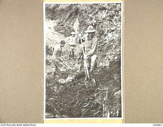 BULLDOG-WAU ROAD, NEW GUINEA. 1943-07-20. TROOPS OF THE 9TH AUSTRALIAN FIELD COMPANY, DIGGING A MUDDY CUTTING NEAR JOHNSON'S GAP WITH PICK AND SHOVEL