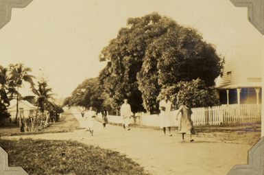 The road near Mr Kirgan's house in Tonga, 1928