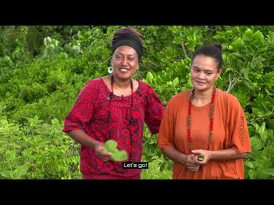 Sea daisy leaves - Edible leaves of the Pacific