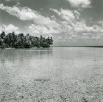 A Polynesian landscape