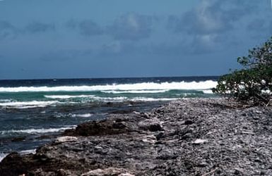 A view of waves breaking on a beach