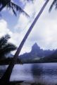 French Polynesia, view of Mount Tohivea on Moorea Island