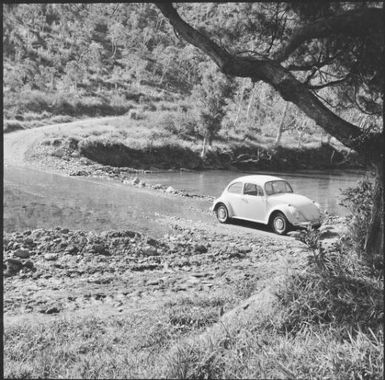 Causeway near Mont Panié, New Caledonia, 1969 / Michael Terry