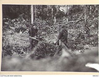 BOUGAINVILLE. 1945-04-05. LT. R.N. MCDONALD, 25 INFANTRY BATTALION (3), BEING CARRIED BY MAJ R. WEPPNER (1), AND A STRETCHER BEARER FROM 61 INFANTRY BATTALION (2), DURING AN ATTACK AGAINST THE ..