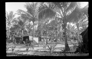 RNZAF camp, Espiritu Santo, New Hebrides (Vanuatu)