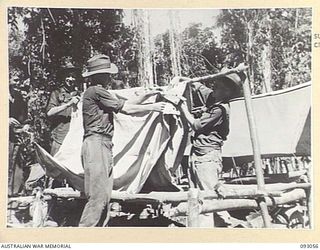 WEWAK AREA, NEW GUINEA, 1945-06-11. MEMBERS OF MORTAR PLATOON, 2/8 INFANTRY BATTALION, ERECTING TENT SHELTERS AFTER MOVING INTO A NEW AREA. IDENTIFIED PERSONNEL ARE:- PTE G. BUCKLEY (1); PTE S.K. ..