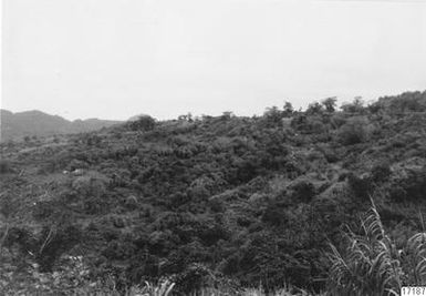 ["landskap, by, berg, fotografi, photograph"]