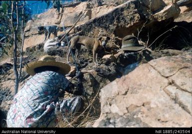 Woman hunting for echidna