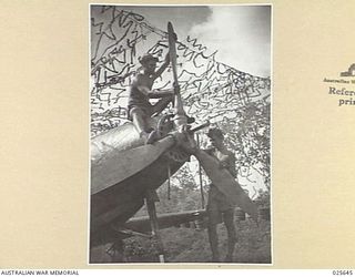 PORT MORESBY, PAPUA. 1942-07. TWO AMERICAN AIR MECHANICS WORKING ON THE PROPELLER OF A "COBRA" FIGHTER PLANE IN NEW GUINEA