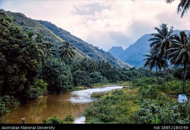Tahiti - Mapuaura River
