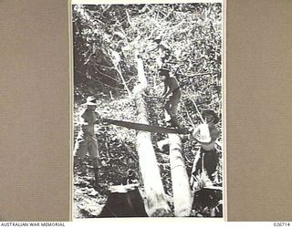 PAPUA. 1942-09. SAPPERS OF THE 2/6TH FIELD COMPANY, ROYAL AUSTRALIAN ENGINEERS, FELLING AND SAWING TREES WITH WHICH TO BRIDGE SMALL CREEKS ALONG THE TRACK THROUGH THE VALLEY ON THE WAY TO KOKODA