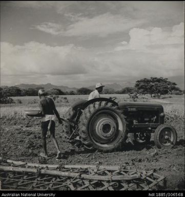 Farmers clearing a field