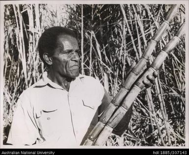 Farmer showing cane varieties