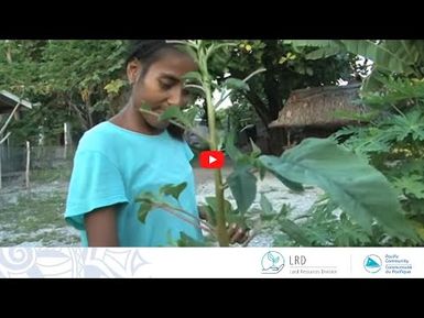 Abaiang Atoll: Building on Organic Traditions
